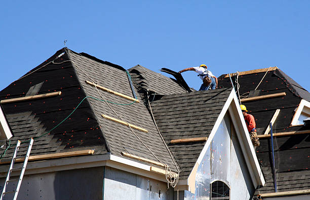 Best Roof Leak Repair  in Guthrie, KY