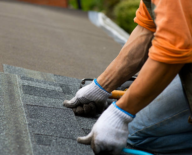 Best Gutter Installation and Roofing  in Guthrie, KY